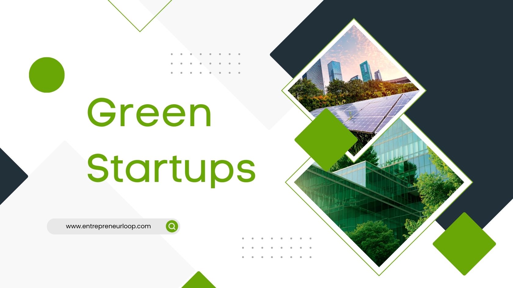 The Green Startup Boom: Opportunities in Sustainable Innovation