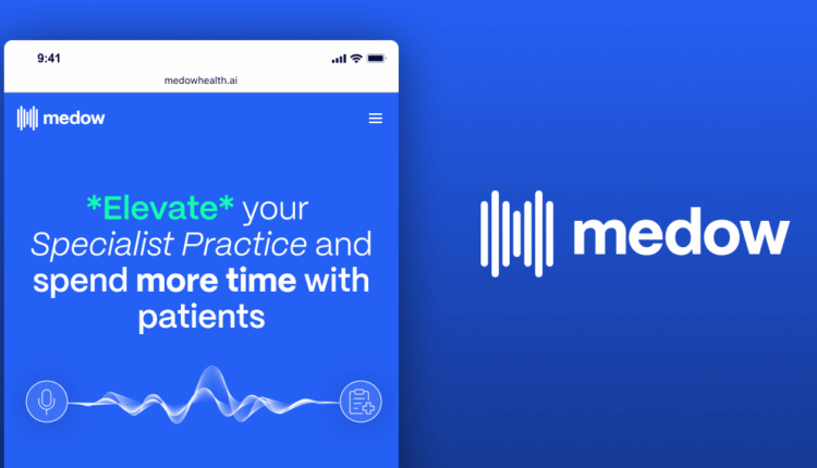 Medow Health funding