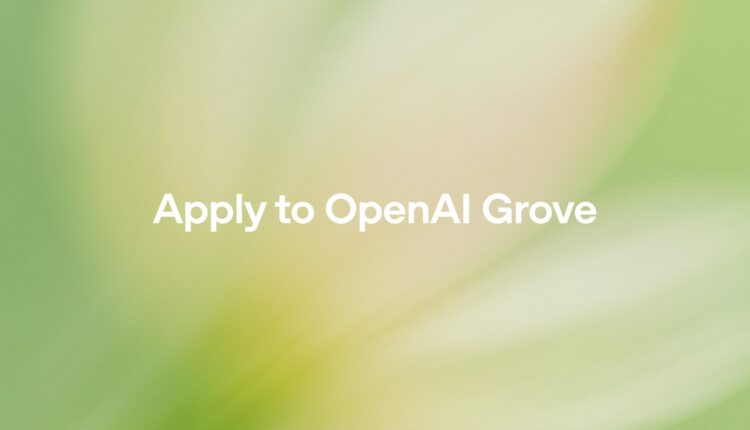 OpenAI Grove program