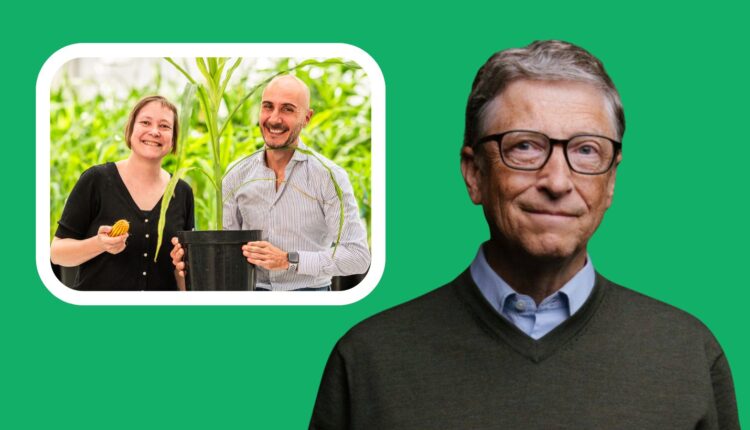 Rainbow Crops Bill Gates