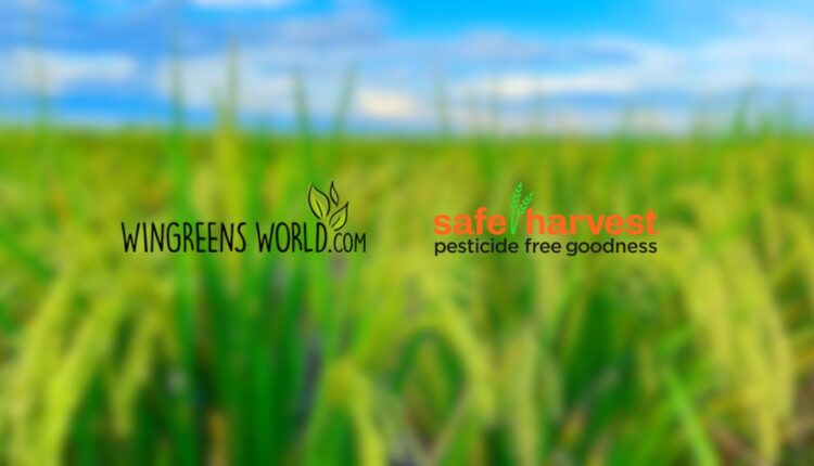 Wingreens Safe Harvest acquisition