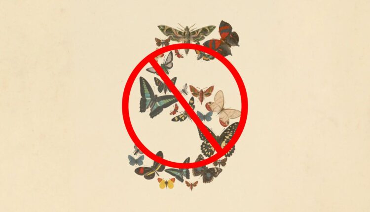 Anthropic suspends Fable 5